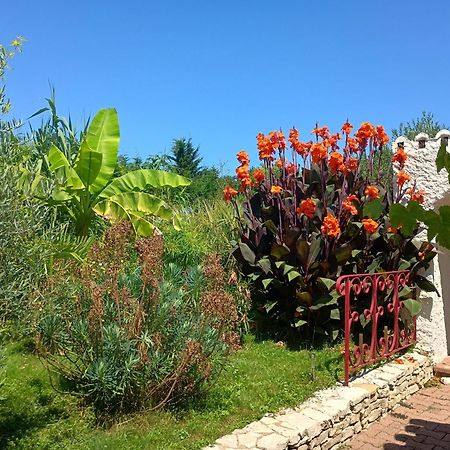 G1 Les Oliviers Villa Saint-Germain-de-Princay Dış mekan fotoğraf