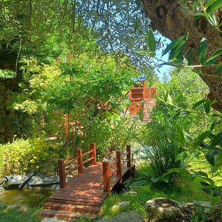 G1 Les Oliviers Villa Saint-Germain-de-Princay Dış mekan fotoğraf