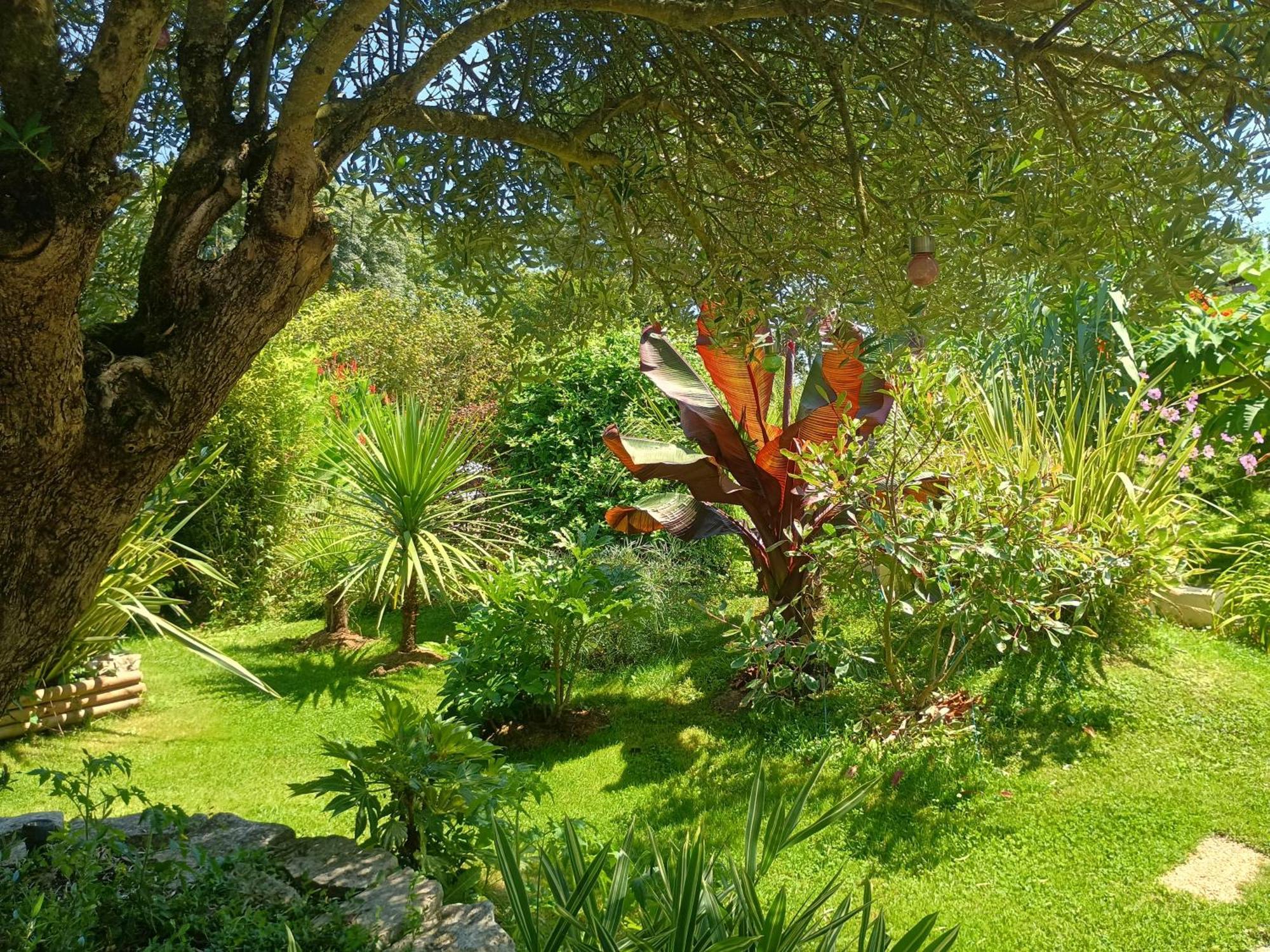 G1 Les Oliviers Villa Saint-Germain-de-Princay Dış mekan fotoğraf
