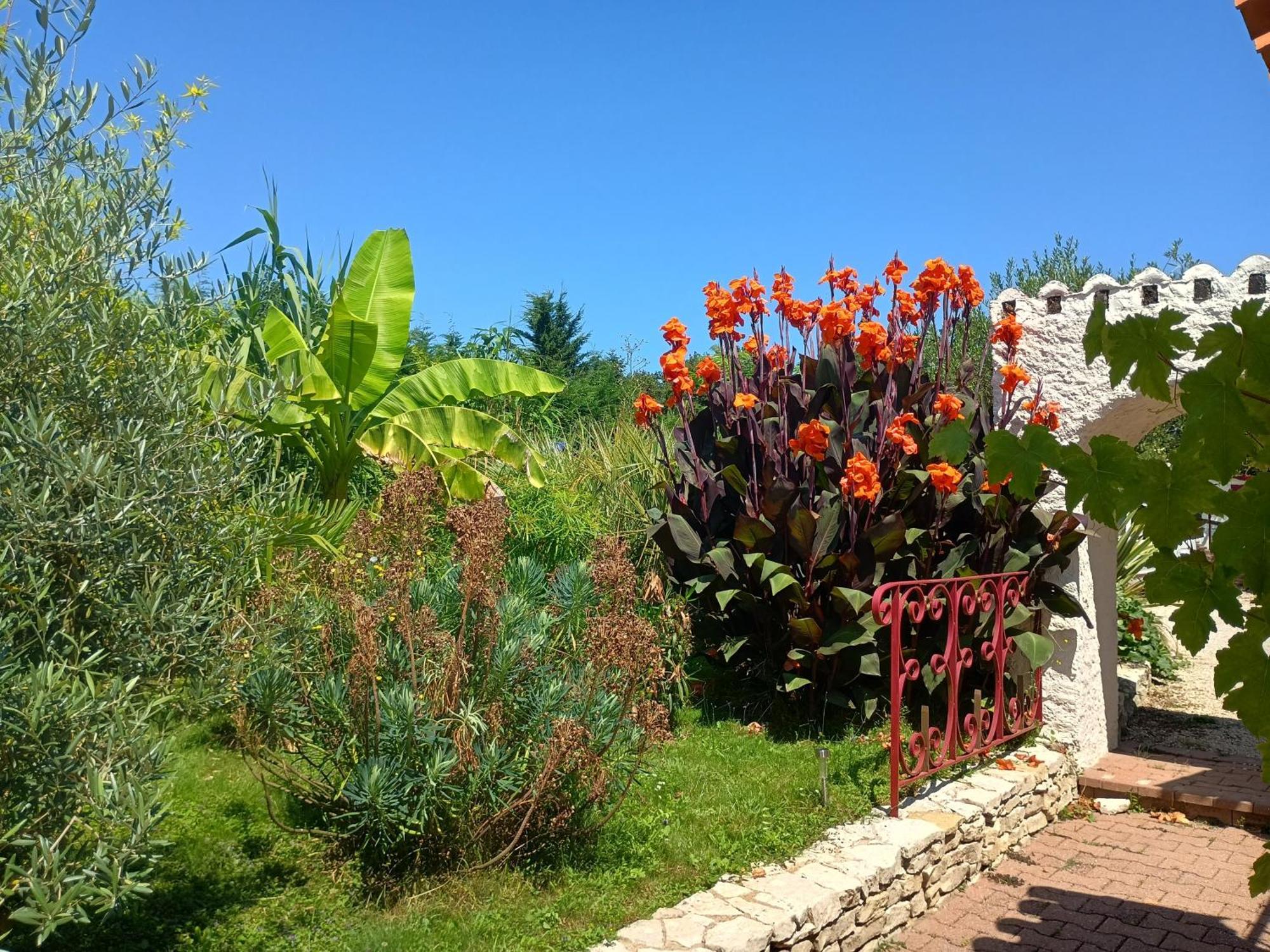 G1 Les Oliviers Villa Saint-Germain-de-Princay Dış mekan fotoğraf